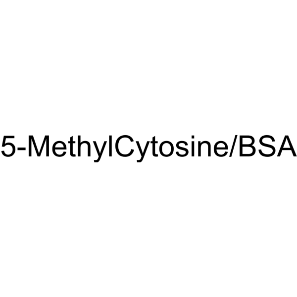 5-MethylCytosine/BSA